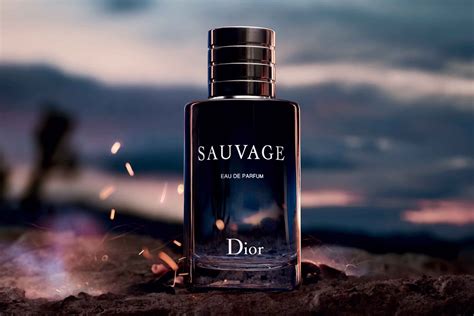 dior de sauvage|Dior Sauvage best price.